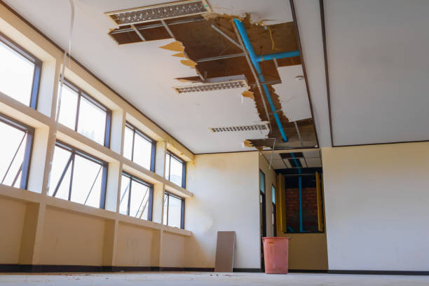 Best 24/7 water damage repair  in Shell Point, SC