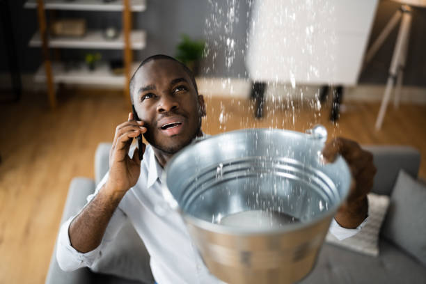 Best 24-hour water damage restoration  in Shell Point, SC