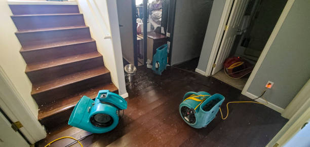Best Water damage restoration insurance claims  in Shell Point, SC