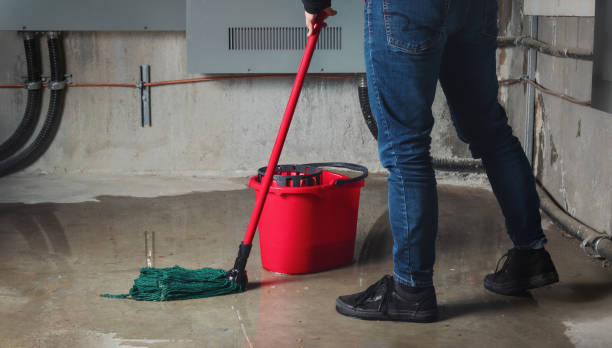 Best Flood restoration services  in Shell Point, SC
