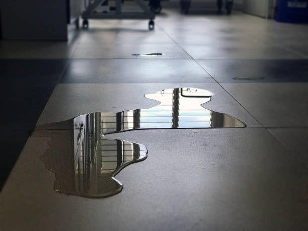 Best Carpet water damage restoration  in Shell Point, SC