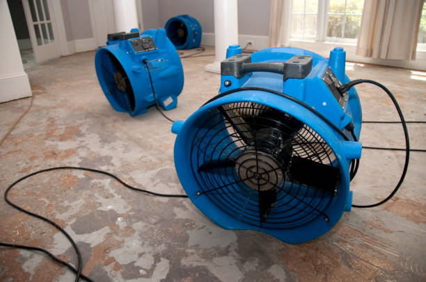 Best Mold removal after water damage  in Shell Point, SC