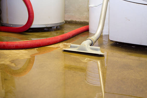Best Professional water damage repair  in Shell Point, SC