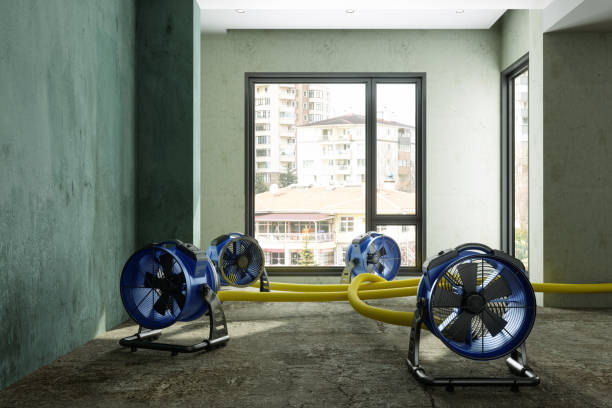 Reliable SC Water damage restoration Solutions
